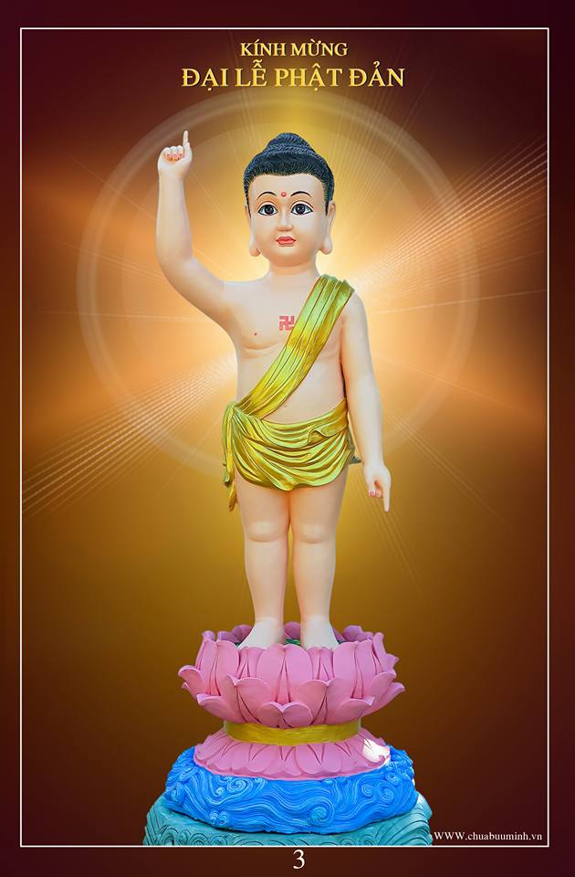Ba mươi năm đi tìm tượng Phật sơ sinh cho ngày Phật Đản