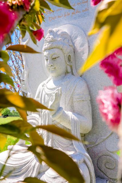 Chùa Tâm Từ, California Với Vườn Hoa Anh Đào Nhật Tuyệt Đẹp