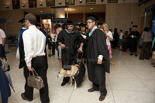 Đại học danh tiếng Johns Hopkins của Mỹ vừa trao bằng Thạc sĩ danh dự cho một chú chó tên là Kirsch.
