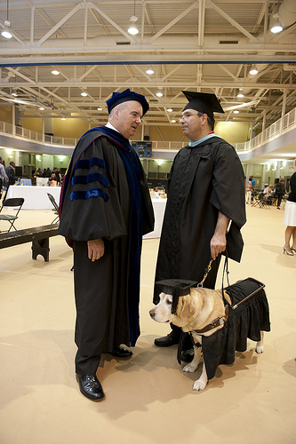 Đại học danh tiếng Johns Hopkins của Mỹ vừa trao bằng Thạc sĩ danh dự cho một chú chó tên là Kirsch.