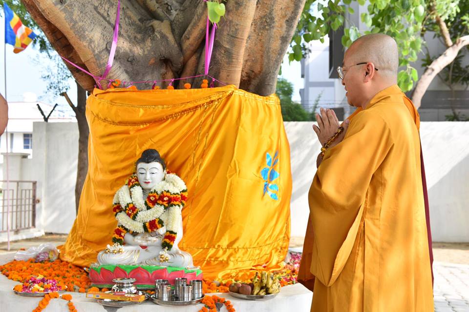 TT. Thích Nhật Từ nhận &quot;Giải thưởng Nhà giáo Toàn cầu&quot; (Global mentor award)