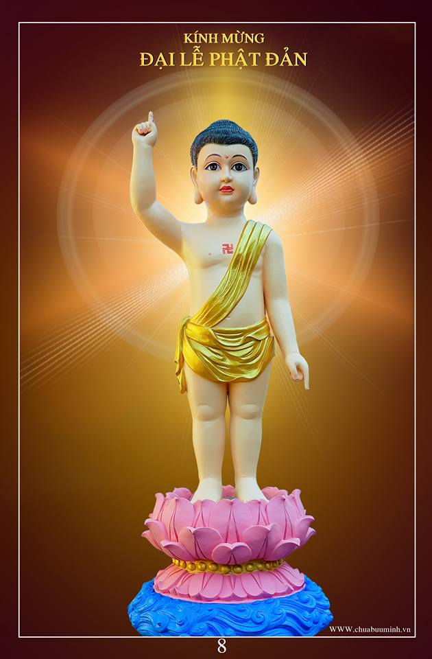 Ba mươi năm đi tìm tượng Phật sơ sinh cho ngày Phật Đản