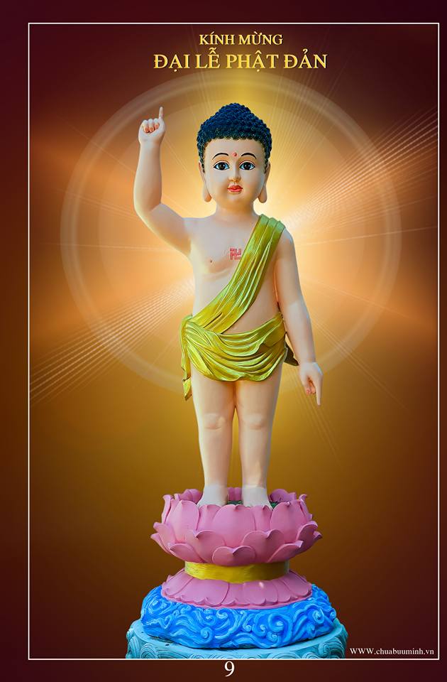 Ba mươi năm đi tìm tượng Phật sơ sinh cho ngày Phật Đản