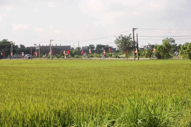 Không khí Đại lễ Phật đản tại Thái Bình