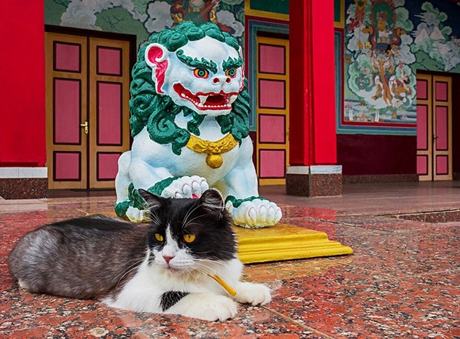 Những ngôi đền Phật giáo đẹp đến ngỡ ngàng ở Nga