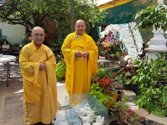 Pháp hỷ sung mãn tại trường hạ chùa Quang Minh - PL. 2562