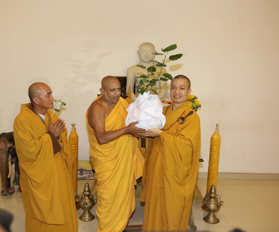 Lễ cung đón và trồng cây Bồ Đề từ Sri Lanka về Chùa Tam Chúc Hà Nam