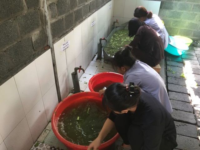 Thái Bình: Chùa Từ Xuyên chuẩn bị cho khóa tu mùa hè