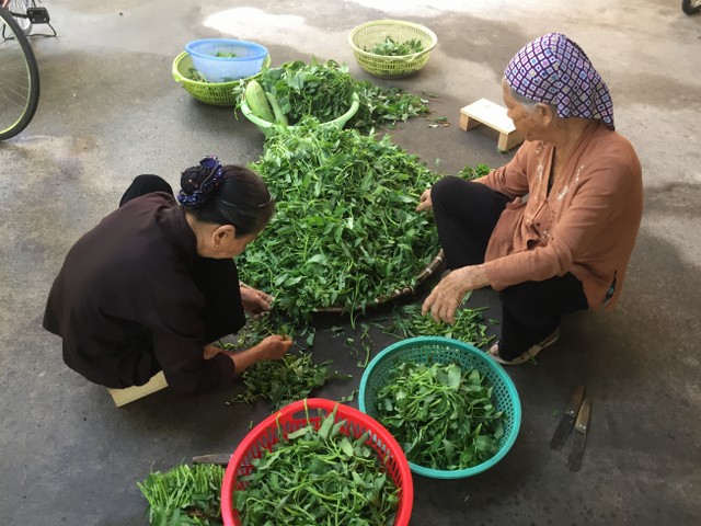 Thái Bình: Chùa Từ Xuyên chuẩn bị cho khóa tu mùa hè