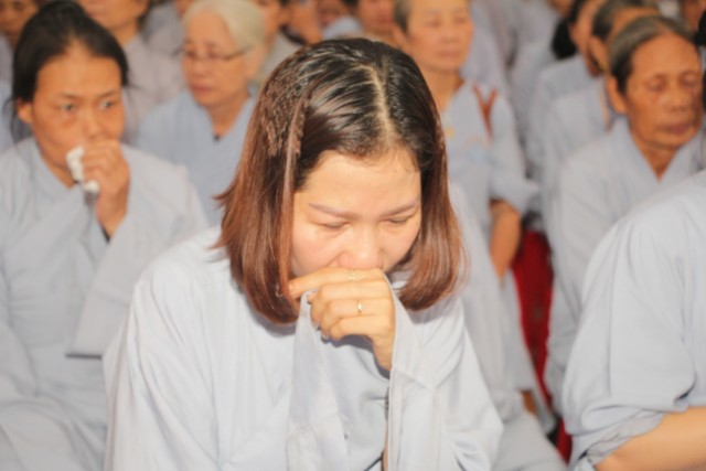 Thái Bình: Lễ hội bông hồng cài áo tại chùa Từ Xuyên