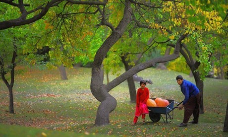 Bí quyết trẻ đẹp của người dân Hunza là ăn chay, chăm chỉ tập yoga và luôn mỉm cười