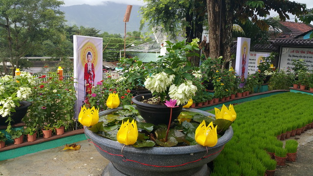 Sức Mạnh Của Nghiệp