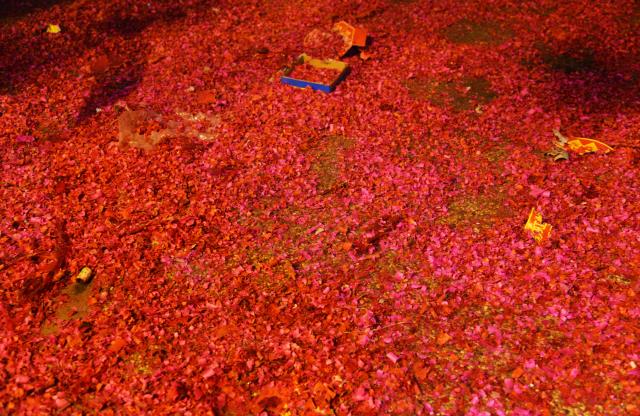 Tết Kỷ Hợi: Viếng Chùa Đức Viên, San Jose