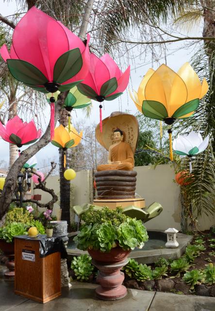 Tết Kỷ Hợi: Viếng Chùa Đức Viên, San Jose