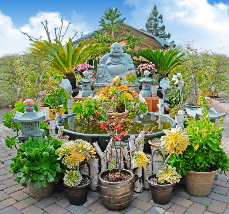 Ấn Tôn Thiền Đường, San Jose (Hoa Kỳ) Tổ Chức Đàn Tràng Dược Sư  Đầu Xuân Kỷ Hợi (2019)