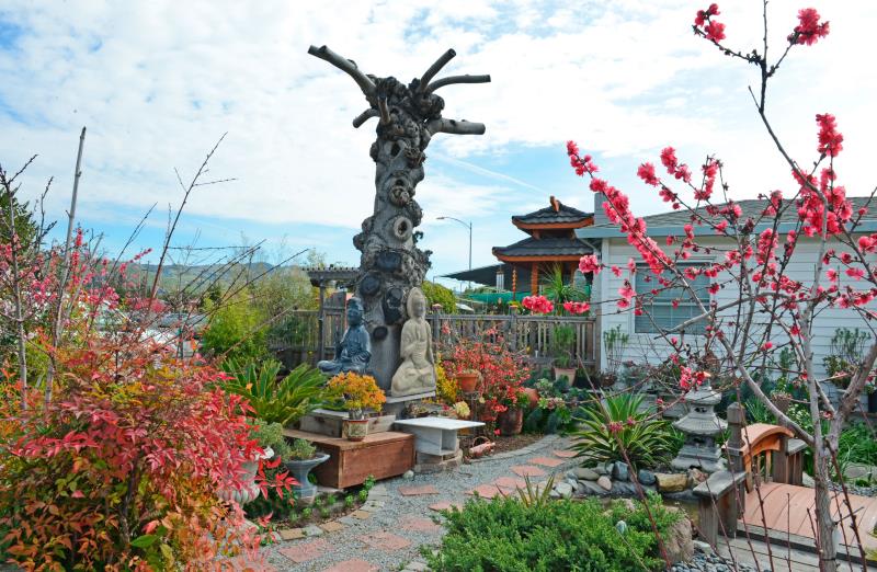 Ấn Tôn Thiền Đường, San Jose (Hoa Kỳ) Tổ Chức Đàn Tràng Dược Sư  Đầu Xuân Kỷ Hợi (2019)