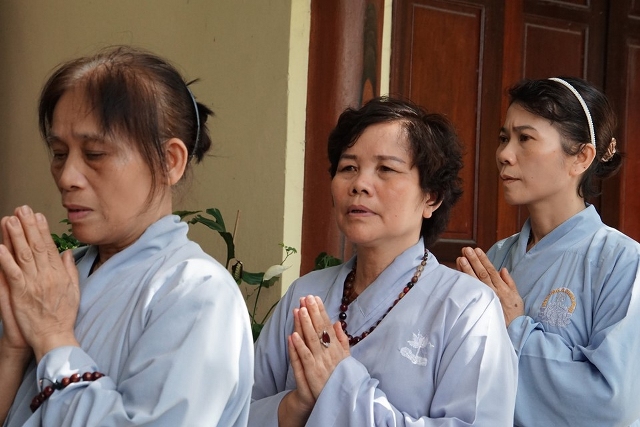 Thái Bình: Lễ hội bông hồng cài áo tại chùa Từ Xuyên