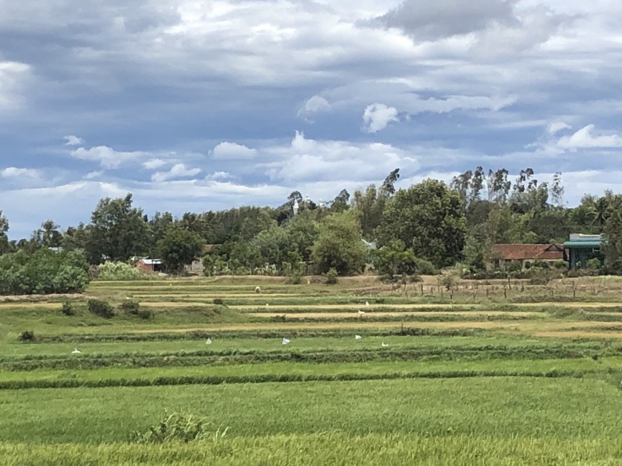 Tổ đình Minh Quang (An Khê, Gia Lai): Lễ Tưởng niệm Hòa thượng Ân sư Thích Giác Đạo