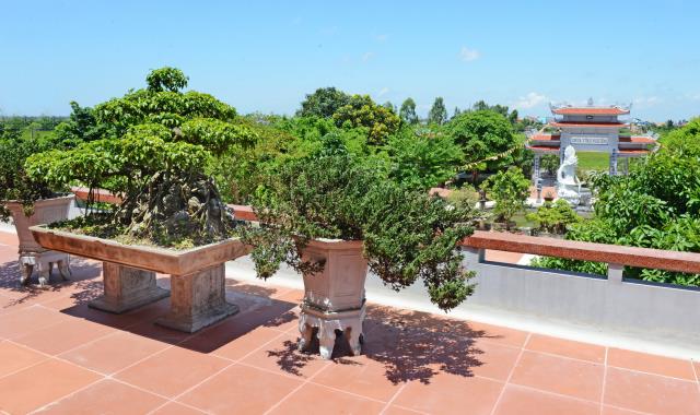 Chùa Vĩnh Nghiêm - Ngôi Danh Lam Ở Nam Định