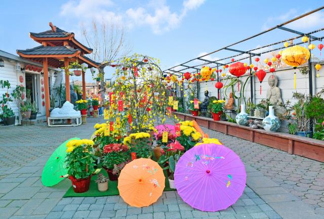 Ấn Tôn Thiền Đường, San Jose (Hoa Kỳ) Tổ Chức Đàn Tràng Dược Sư Đầu Xuân Canh Tý (2020)