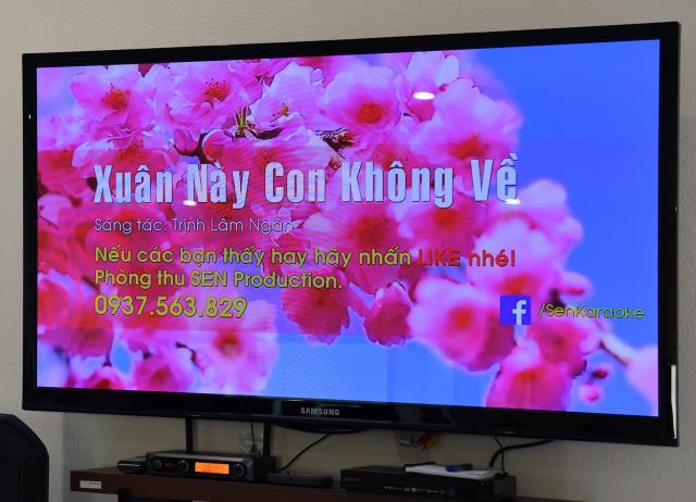 Trung Tâm Tu Học Phổ Trí, California Tổ Chức Lễ Cầu An Đầu Năm Canh Tý (2020)