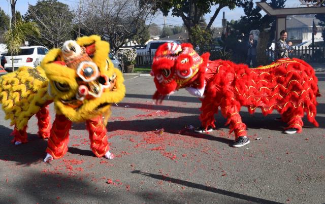 Tiếng Trống Lân &amp; Pháo Nổ Rộn Ràng Mừng Xuân Canh Tý  Tại Chùa Phổ Từ, Hayward, Hoa Kỳ
