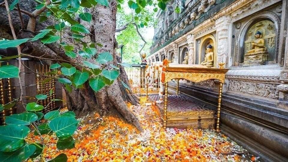 Tâm Tôi Không Thù Hận - hạt nắng từ cao rơi xuống thấp