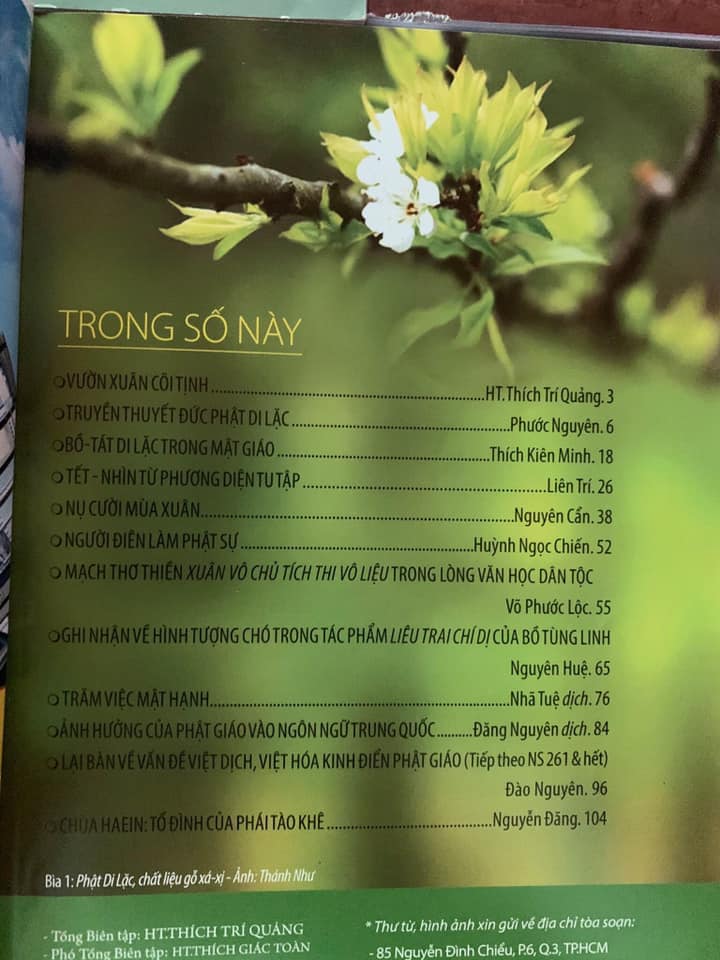 Mong rằng những ai liên đới đã vô tình hoặc cố ý làm nên &quot;hiện tượng nhân tài&quot; Phước Nguyên hãy lên tiếng