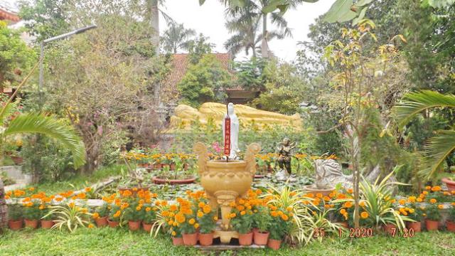 Hương Xuân Tỏa Rạng