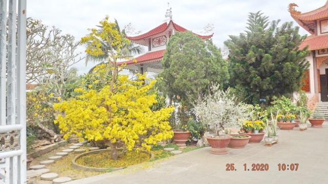 Hương Xuân Tỏa Rạng