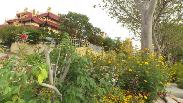 Chùa Phước Thọ Tổ Chức Lễ Tạ Ân Tam Bảo