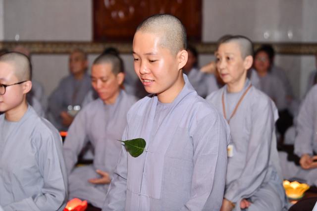 Lắng đọng bên chén trà