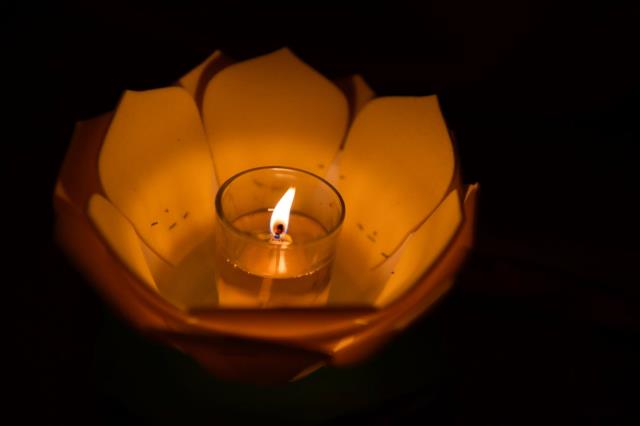Lắng đọng bên chén trà