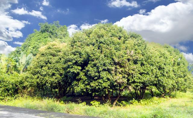 Chùa Tượng Sơn, Hà Tĩnh: Nơi Đại Danh Y Hải Thượng Lãn Ông 40 Năm Dạy Học, Viết Sách, Chữa Bệnh Cho Dân