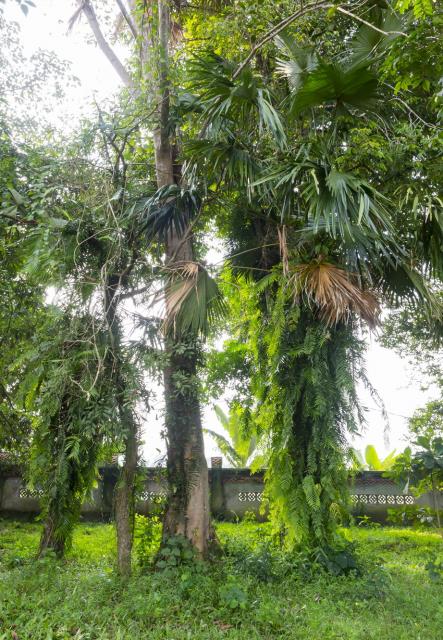 Chùa Tượng Sơn, Hà Tĩnh: Nơi Đại Danh Y Hải Thượng Lãn Ông 40 Năm Dạy Học, Viết Sách, Chữa Bệnh Cho Dân