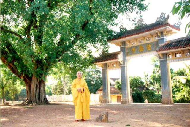Chùa Từ Đàm, Huế: Ngôi Cổ Tự Danh Lam Trên Đất Cố Đô