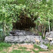 Chùa huyền không sơn thượng -rừng thiền tĩnh tâm an lành