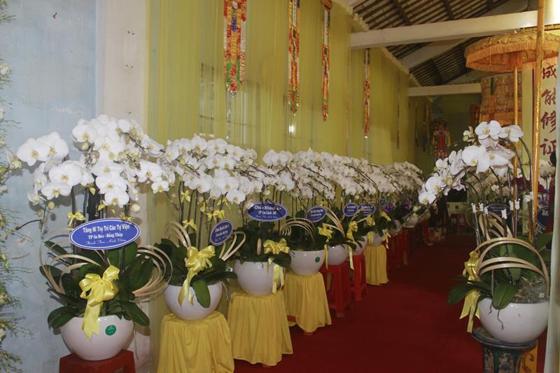 Đồng Tháp: Các đoàn viếng lễ tang cố Đại lão HT. Thích Thiện Huệ ngày thứ hai