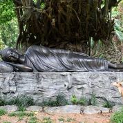 Chùa huyền không sơn thượng -rừng thiền tĩnh tâm an lành