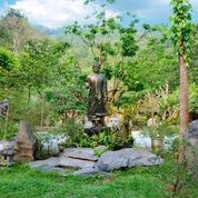 Chùa huyền không sơn thượng -rừng thiền tĩnh tâm an lành