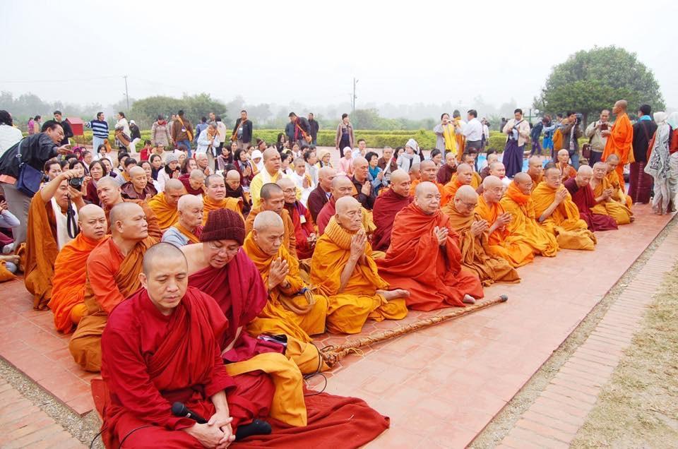 Năm Mới Ta Cũng Mới, Người Vui Ta Cũng Vui