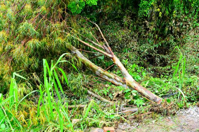 Quảng Ngãi: Tặng gần 700 phần quà cho đồng bào bão lũ