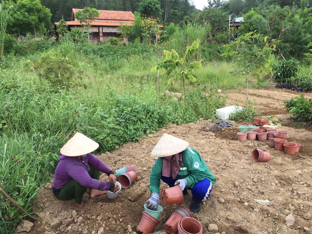 Ninh Hòa Xanh