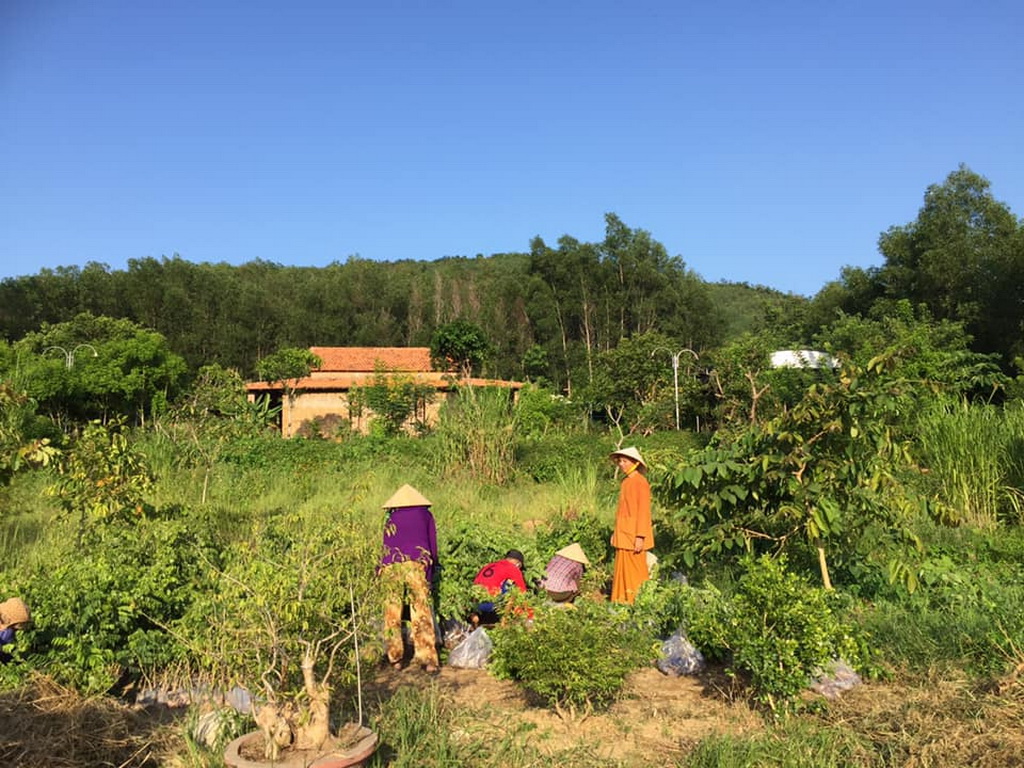 Ninh Hòa Xanh