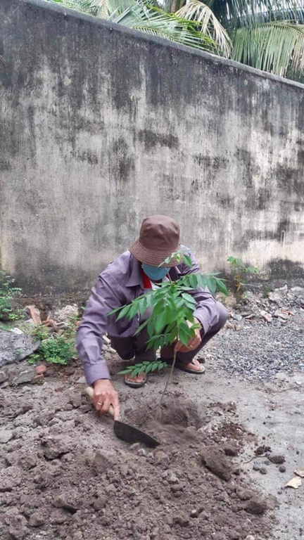 Ninh Hòa Xanh