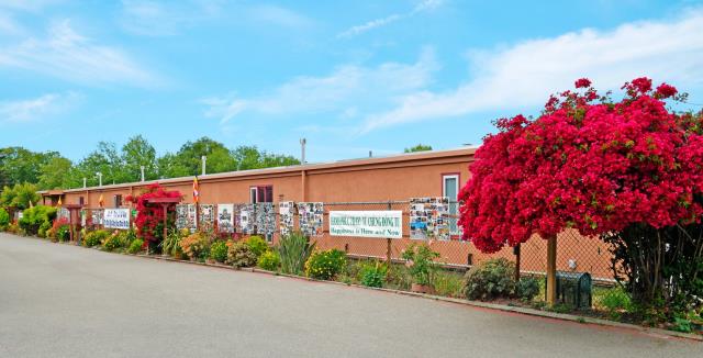 Trang nghiêm Đại lễ Phật Đản 2645 tại chùa Phổ Từ, Hayward, California, Hoa Kỳ