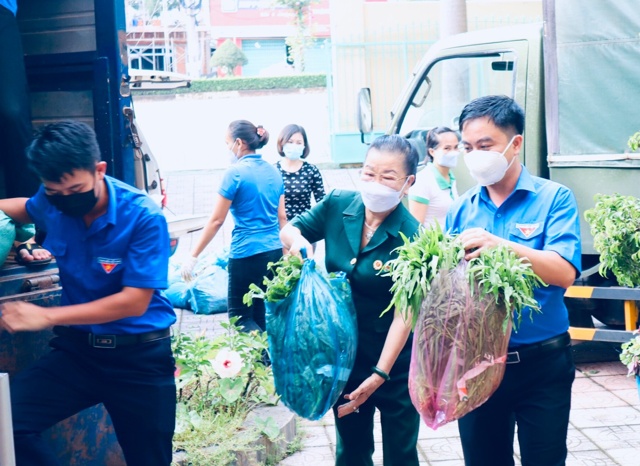Người Việt ở Úc gieo tâm tình vào sen đá, góp yêu thương giúp gần 900 hộ dân ở vùng dịch TP HCM
