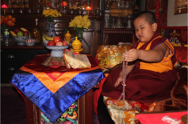 Hạnh Bồ Tát: Tái Sinh Để Hoằng Pháp