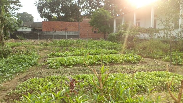 Trở Về