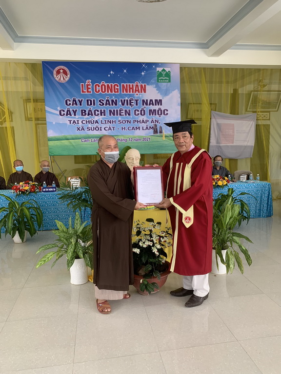 Khánh Hòa: Trao bằng công nhận cây di sản tại chùa Linh Sơn Pháp Ấn
